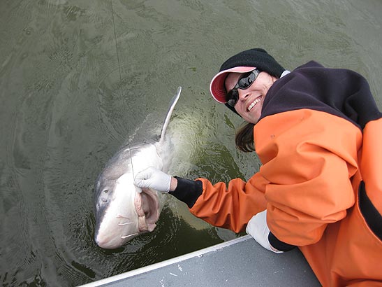 Oregon's Best Sturgeon Fishing Opportunities - CRFA